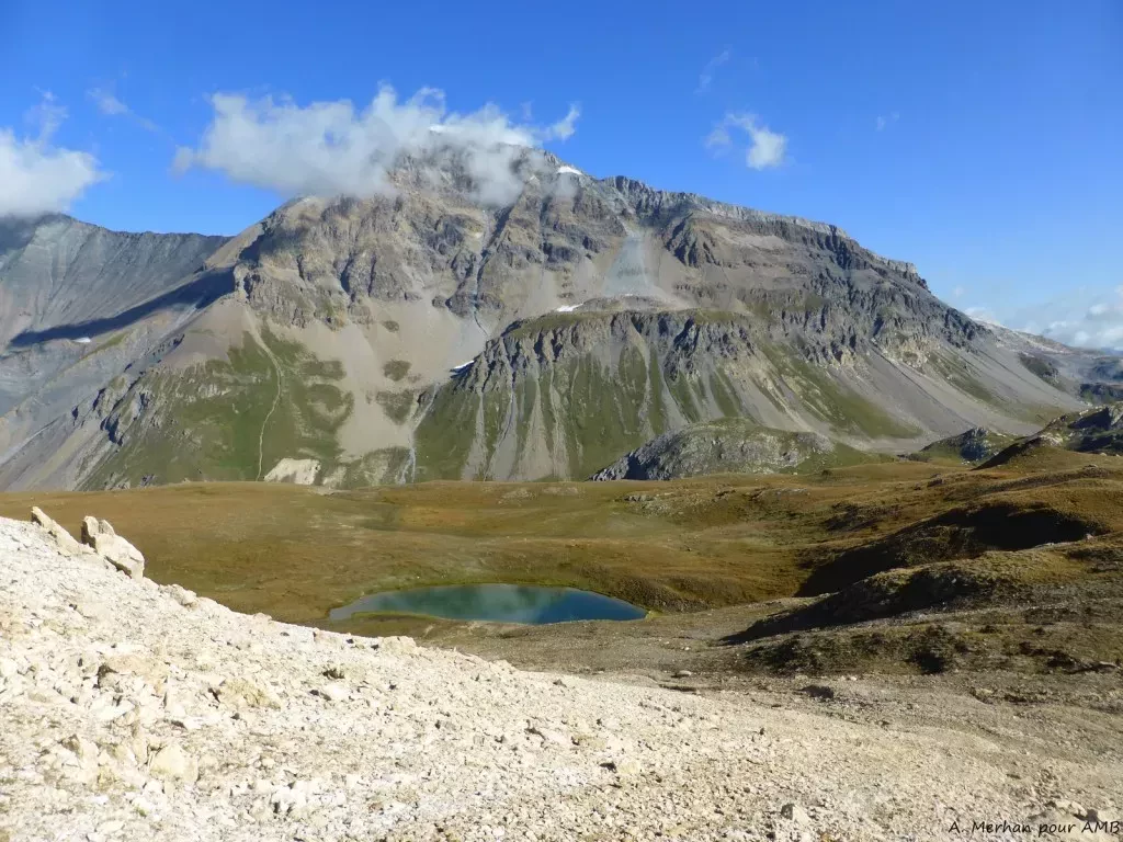 media-libraryttjku1s454pe3AbxWGV