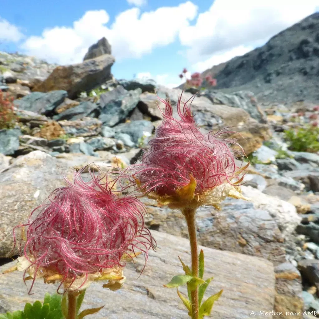 media-library7s1kt9gc24lm6Vz63FW