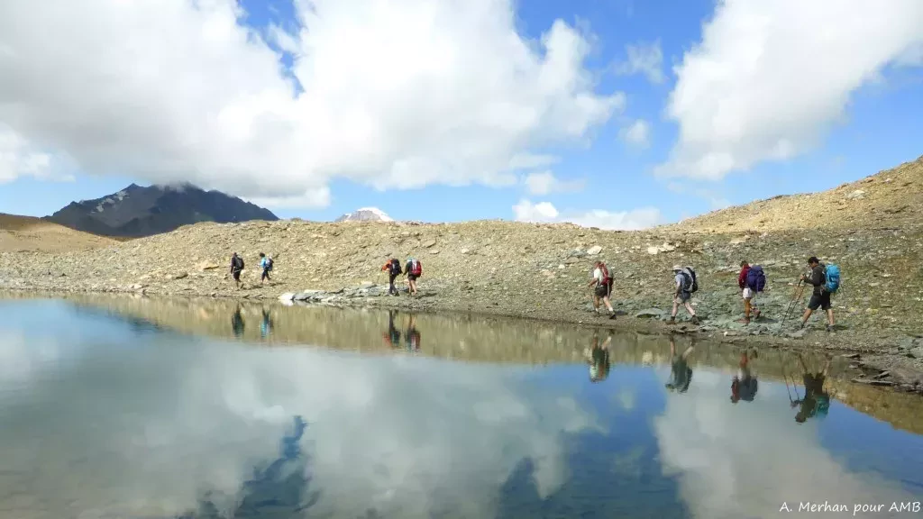 media-libraryhq5j9e0lgie67qihrjT