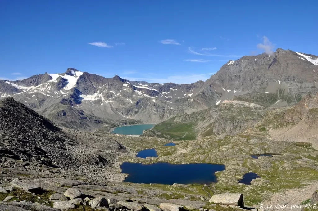 media-libraryje279hnkcfe1aTl7pTV