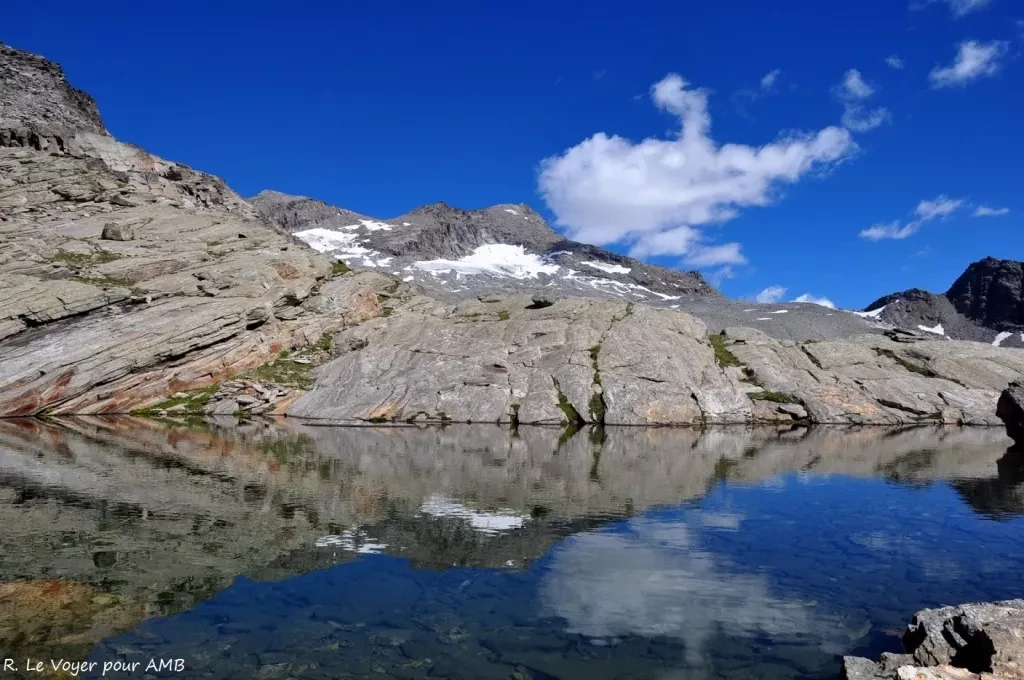 media-library1v738i3no72346TA3gW