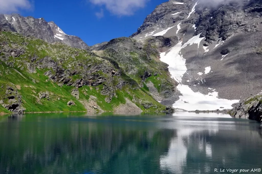 media-libraryoefngerkp9p7dtvNU5U