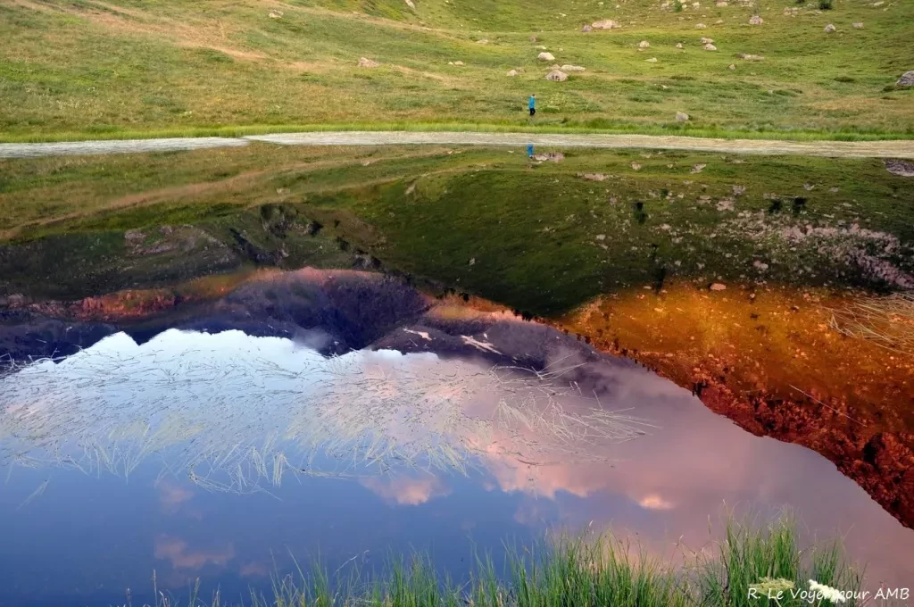 media-library8k3msjlm25sk5lIWHgT