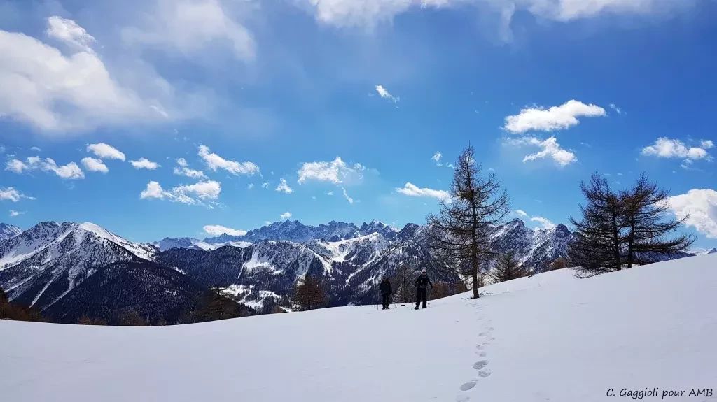 media-libraryh3cbn9krefbefivbVET