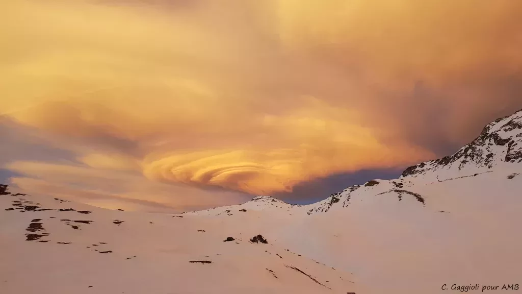 media-libraryr08m0l11u5goapMQGAU