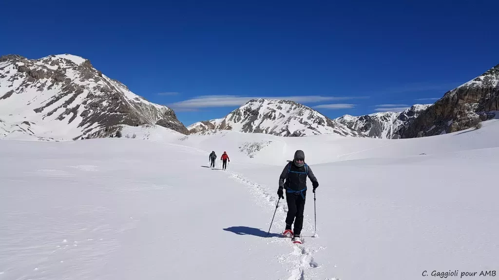 media-libraryiiva1frg50uu9dBZcWS