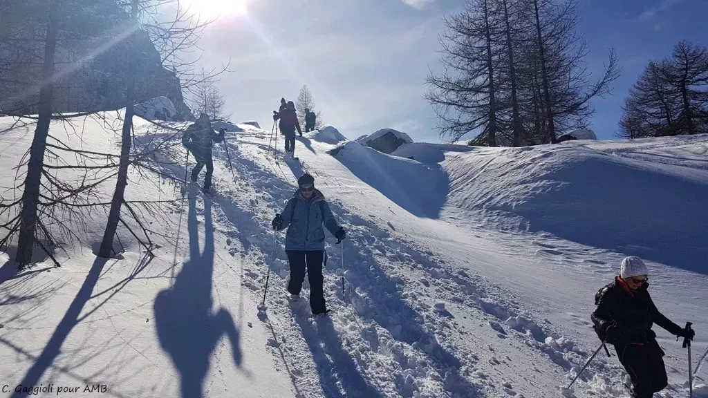 media-libraryi4t5mv22knscfjC6fCU