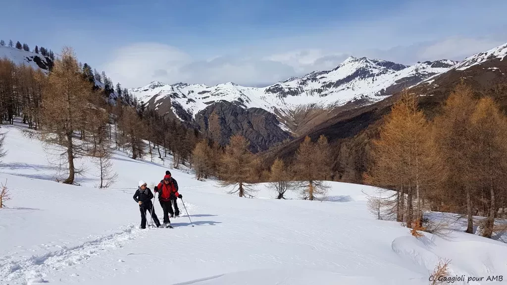 media-librarylbui79fttgf54qVf9CW