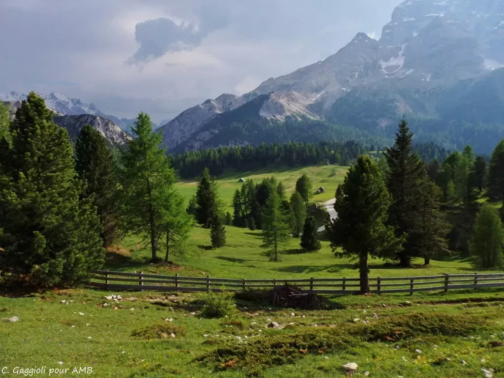 media-libraryrolttppt2hooc7jvxpU