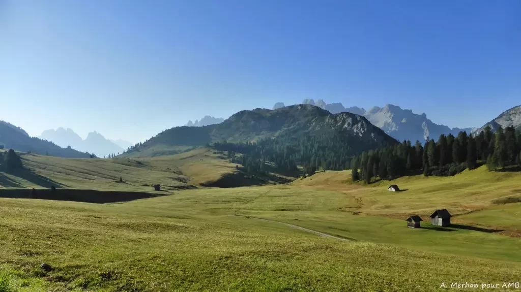 media-librarymul2961a441n7nL29zV