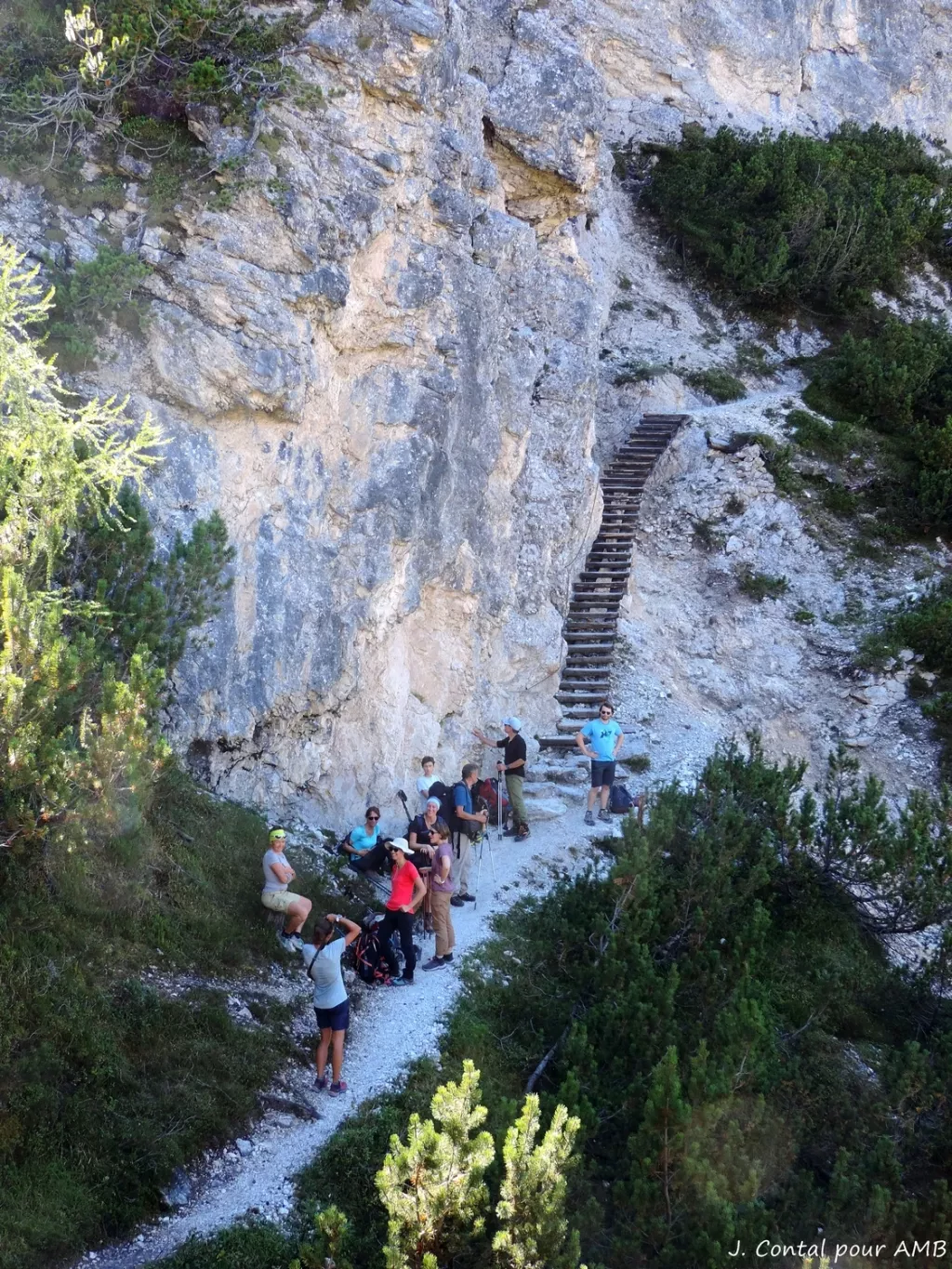 media-libraryc8884qo1o8r83mfxqXV