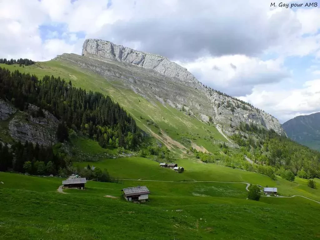 media-library8mg7s9f9faci5b7DTtV