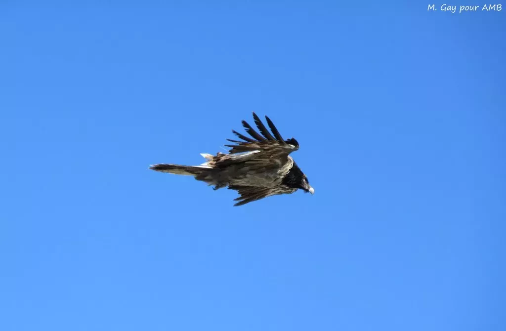 media-libraryvmrj0211b8eb7nABxPT