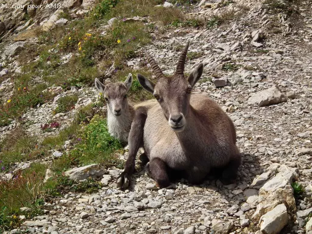 media-library7tpopihturga5P8dcoU