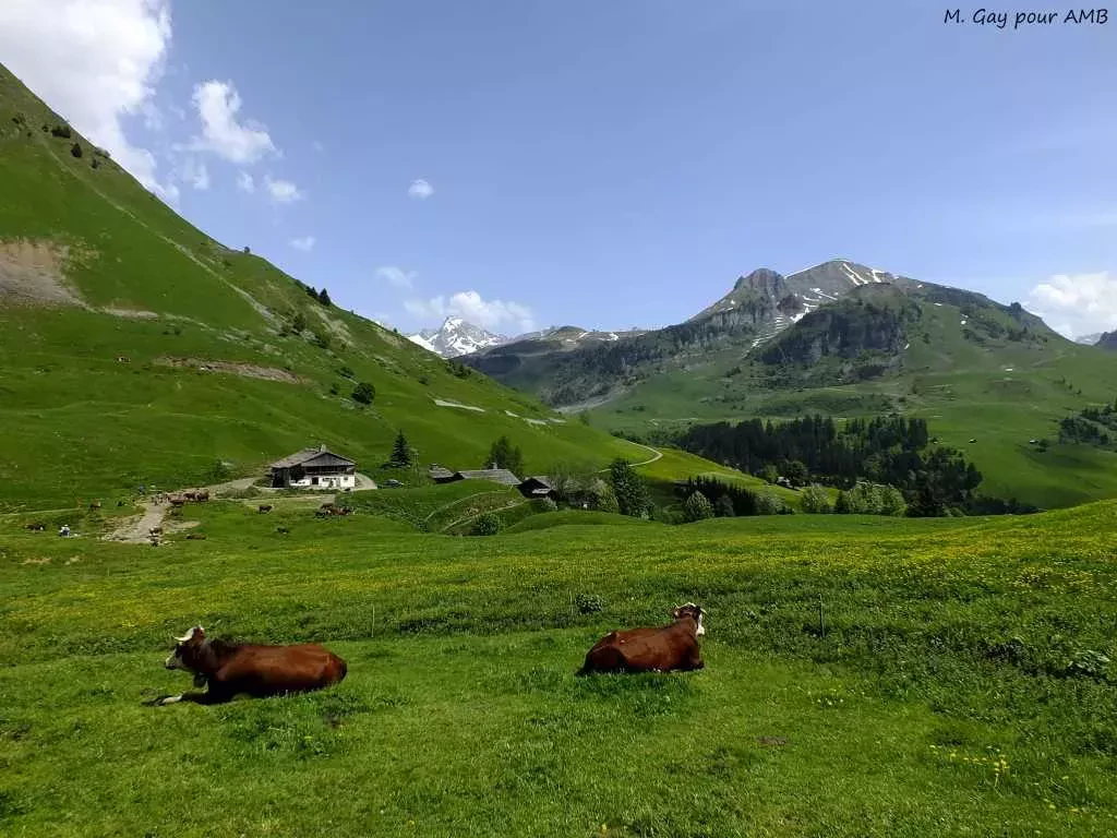 media-library7gf627afgp2q16dQ6IU