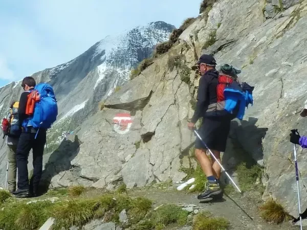  AUSTRIAN TYROL, the alpine safari