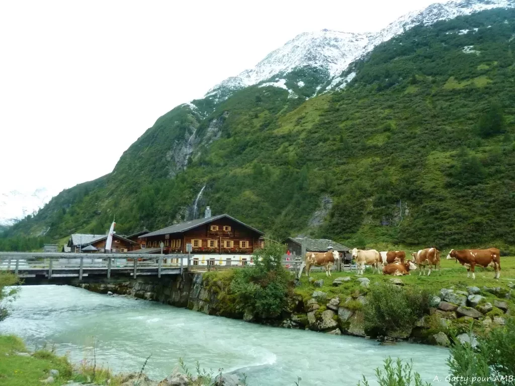 media-librarynhm70e0qaa405g5MBYV