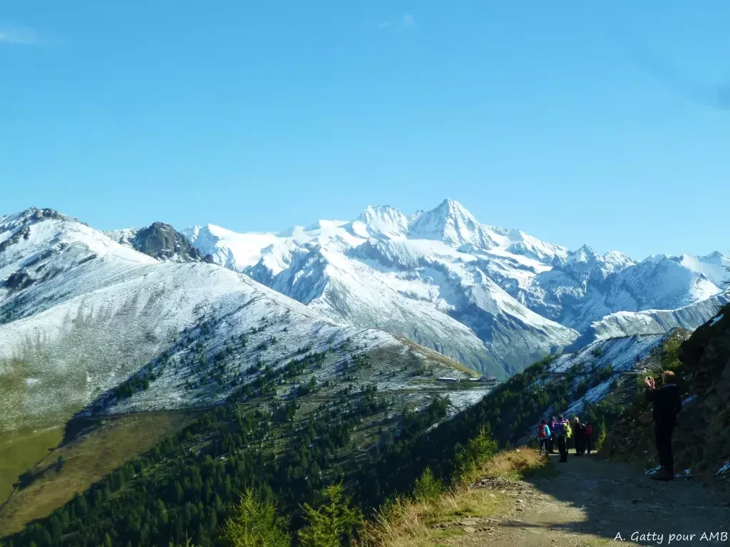 media-library8cvc8b31leduaiq7xhW