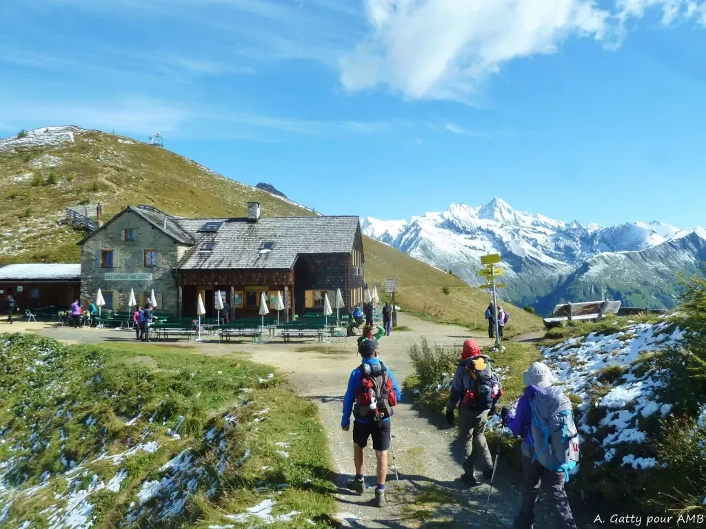 media-libraryabojm94t5ile8YuuyOU