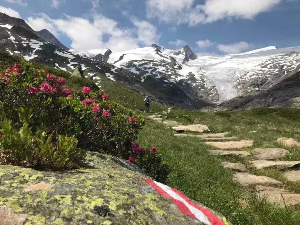 media-librarygk5bk2sb5m3lc0hmc4T