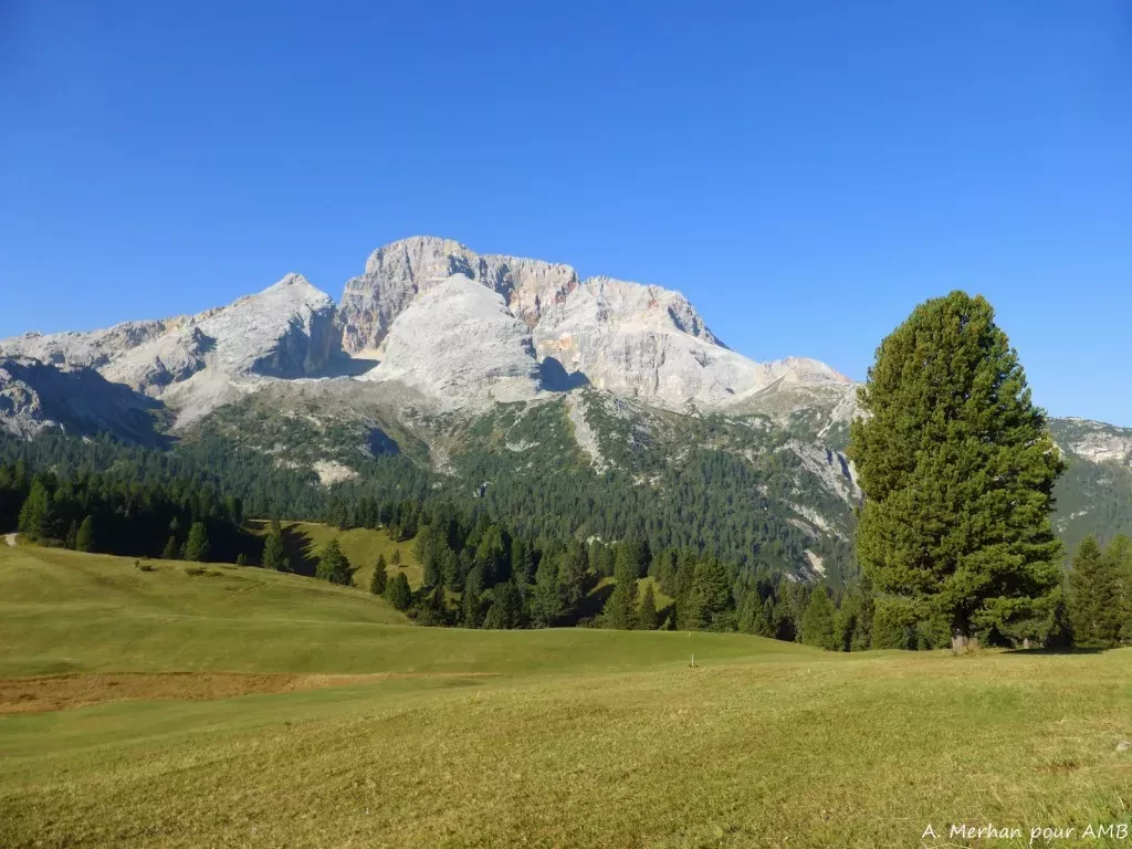 media-libraryba8pdgh1jgi35v2vtmT