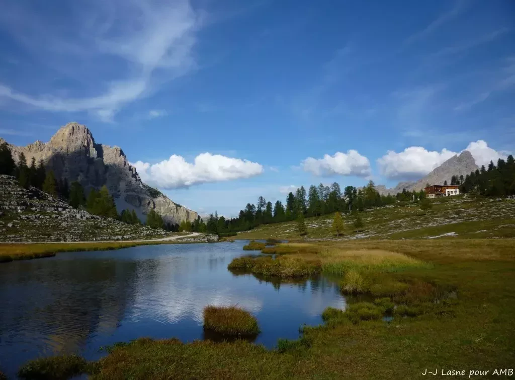 media-library12rp2e1lljsj7EG5ukV