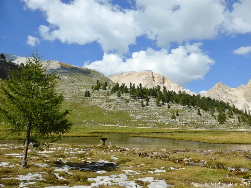 media-library88afkn2k42m12PPwpKU