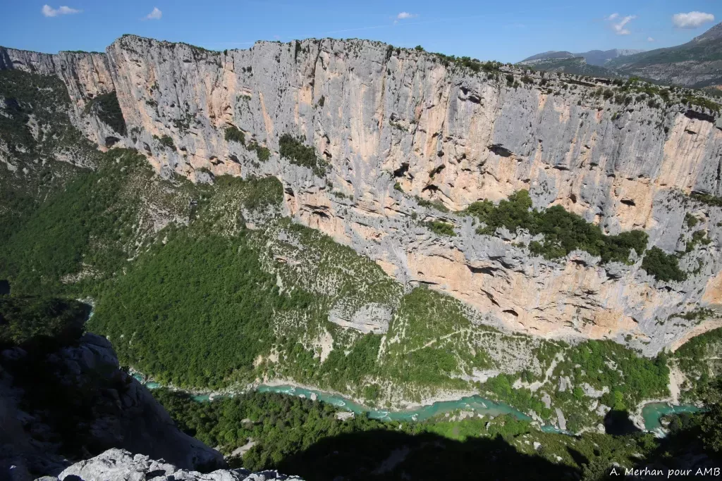 media-library3o027jmlaki06nwYneX