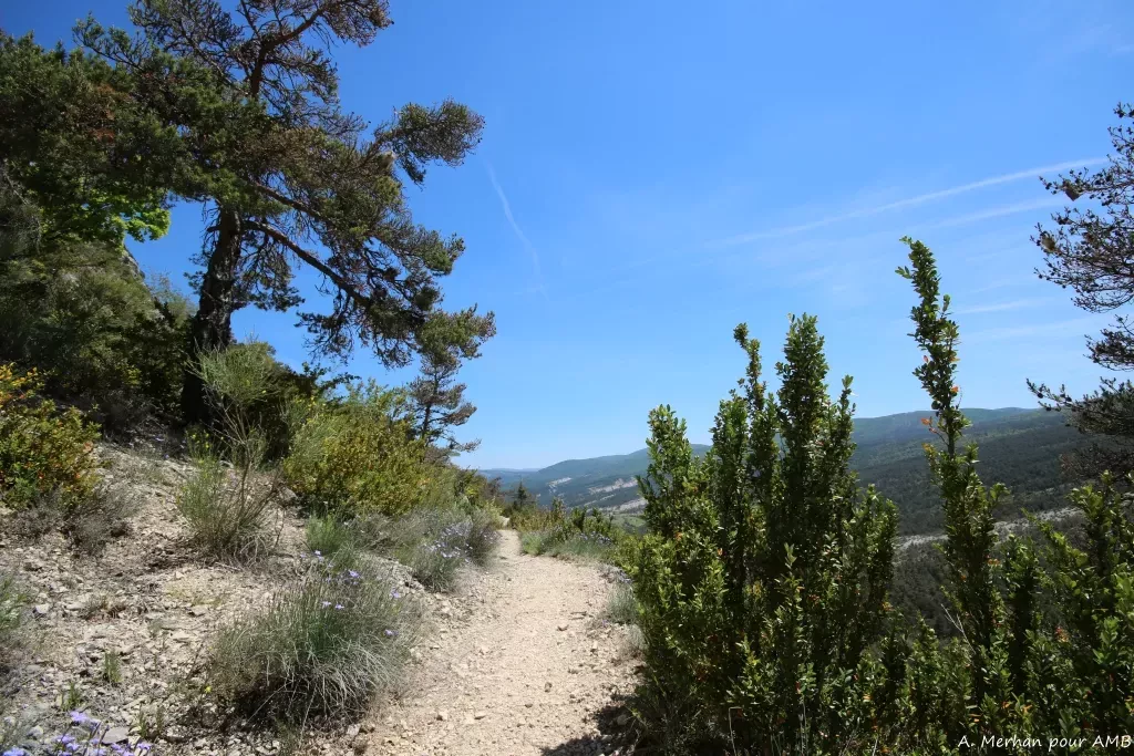 media-libraryclk1g39l5vj69hBwofW