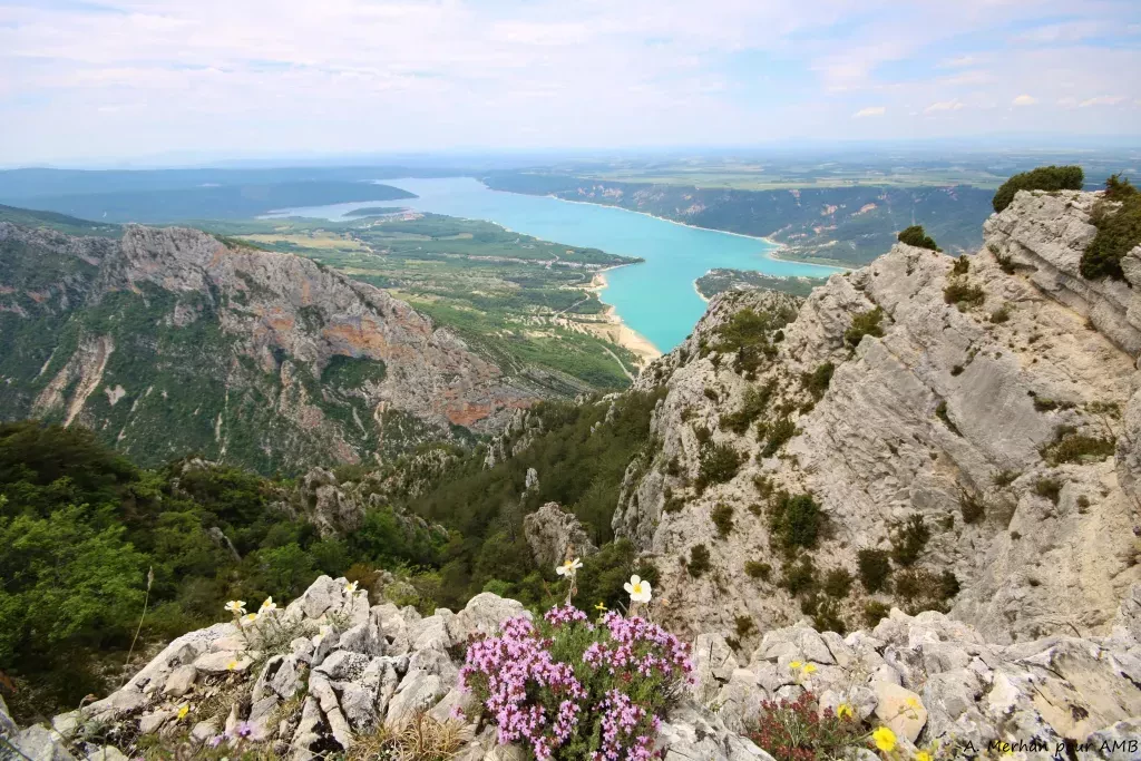 media-libraryogsgj9rmntr8dBQnCEU