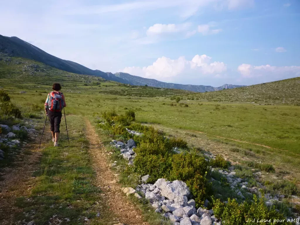 media-libraryb2rk9q8jtool4kTFjRT