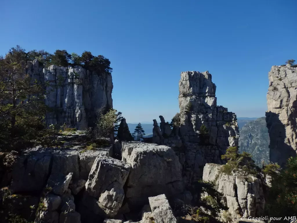 media-librarycvbnrkv37us3fPCNoxW