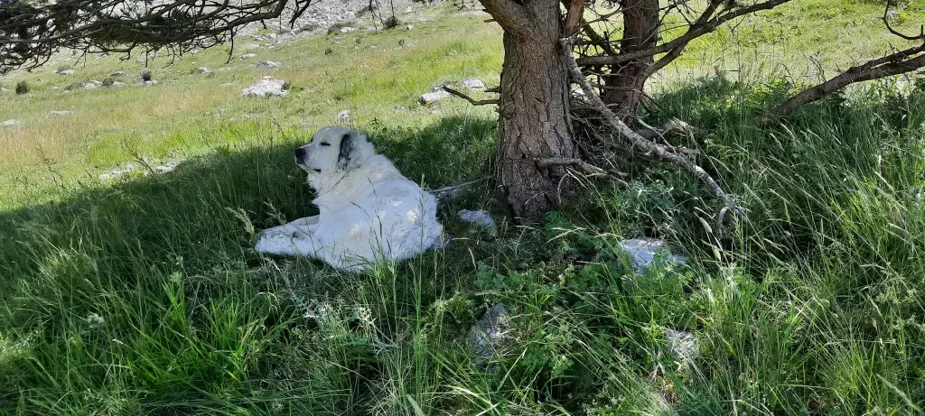 media-libraryl63k99r5mc2qcqSgo9W