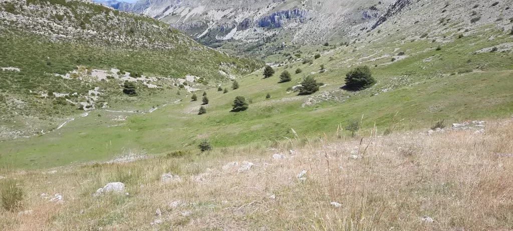 media-library97jm9u3gcu1r3dYfsYS