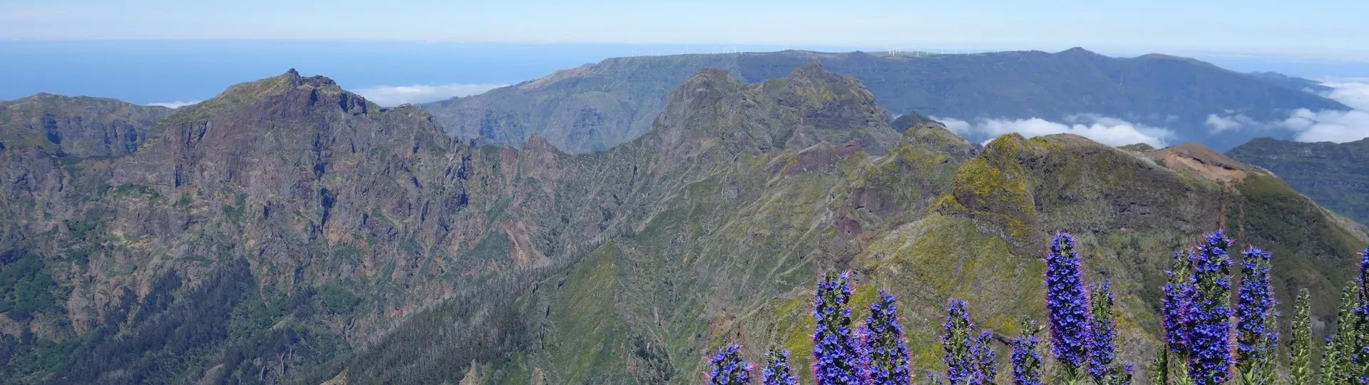 THE TOUR OF MADEIRA
