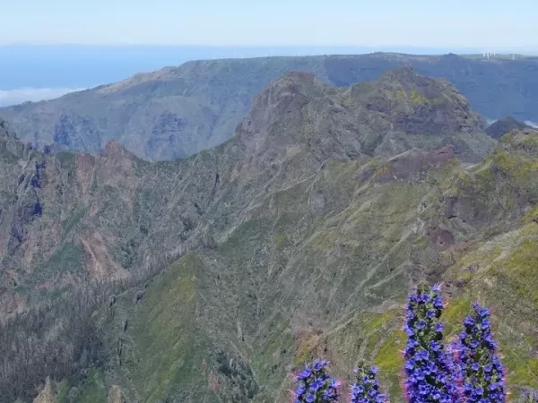 THE TOUR OF MADEIRA
