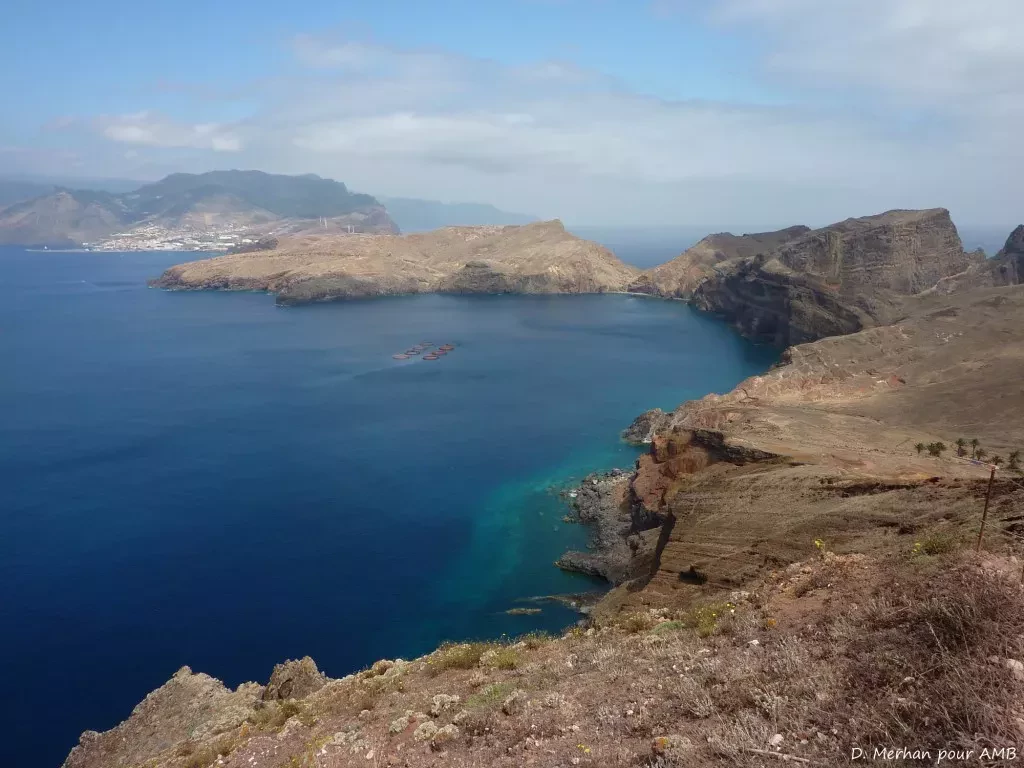 media-libraryki2s2t3keqrfeZxIUbV