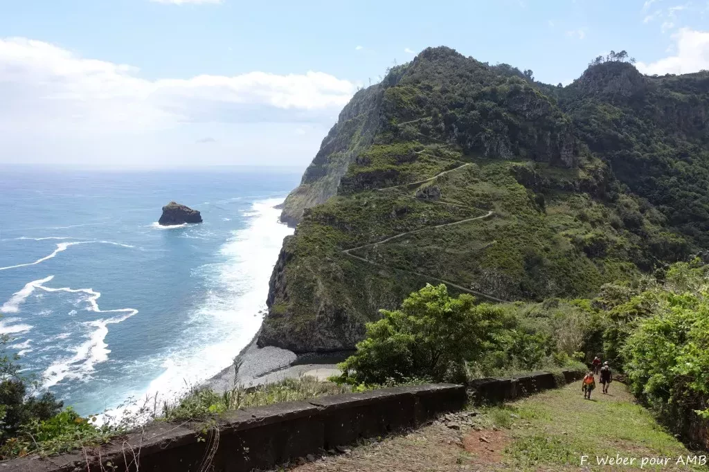 media-libraryqnvm7ebuo9m035gPHDW