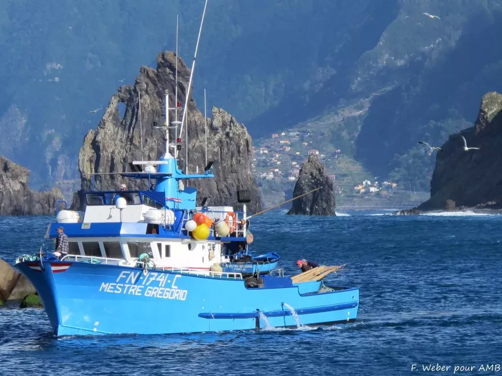 media-librarynkma54sba7hf5KUUY8W