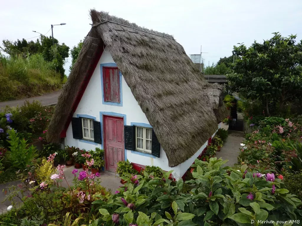 media-libraryea1ecdbpcdn6c1o9F2T