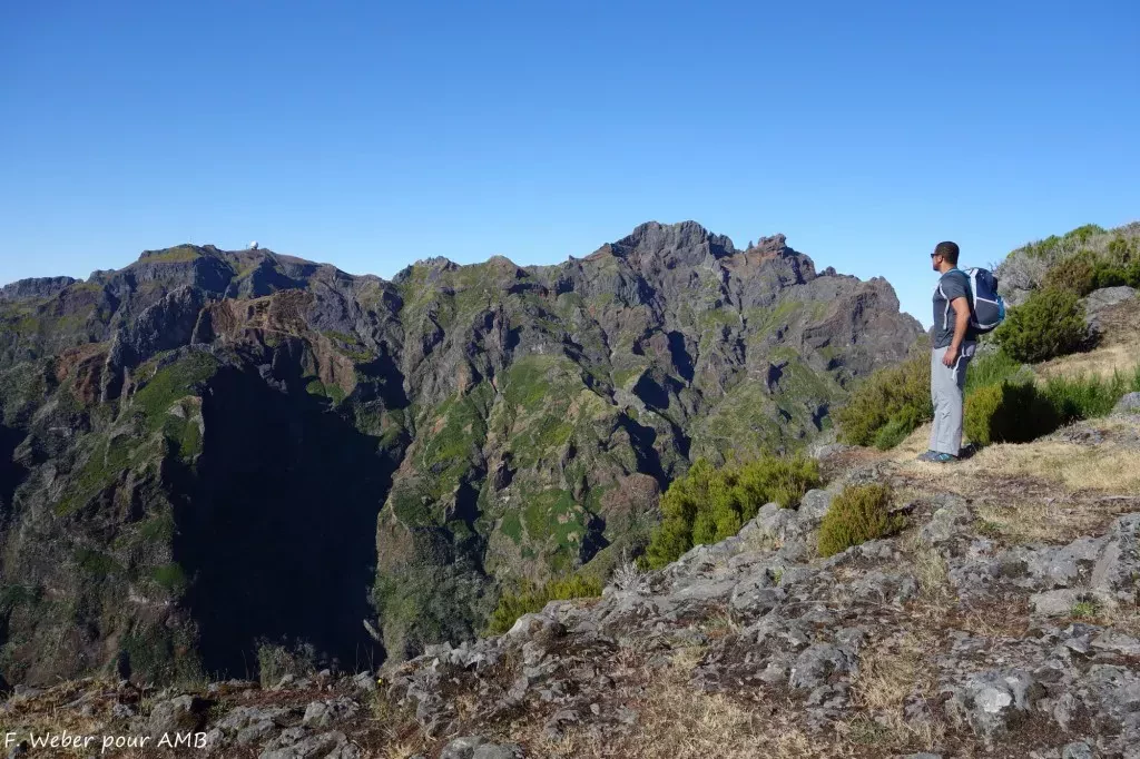 media-libraryc6ofjpklbmp82mbWhoU