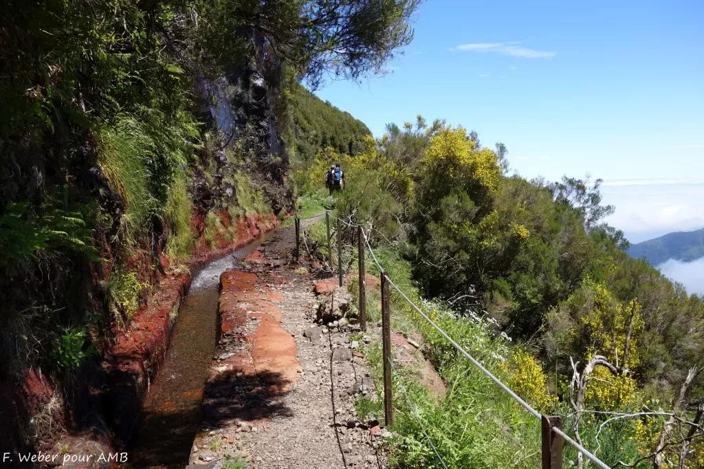 media-libraryklfr94f8ulpcfbNJJmW