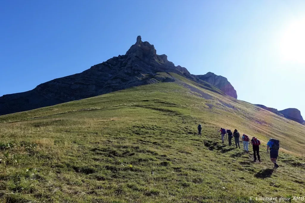 media-libraryhmns3kvl6oen9iXV52W