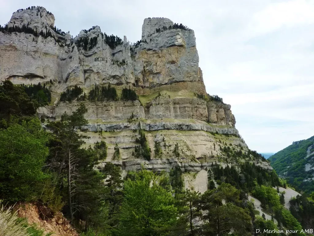 media-libraryttvqcd08m2otaDOCeFV