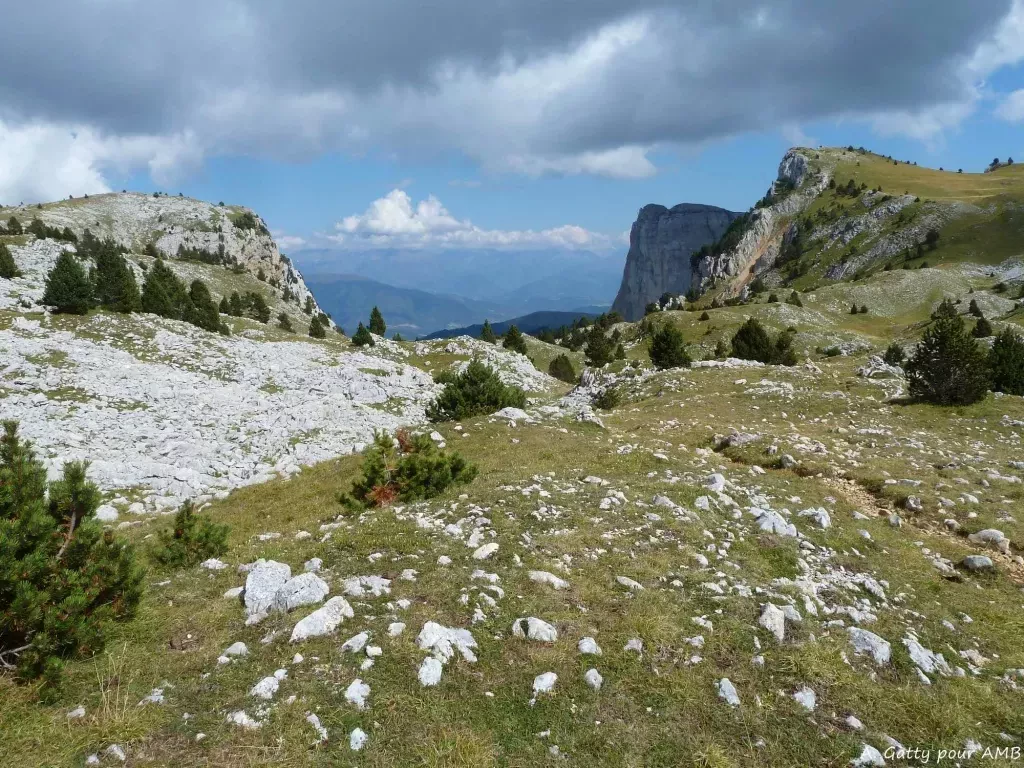 media-libraryq2kp41ul2nhmc1FdwWS