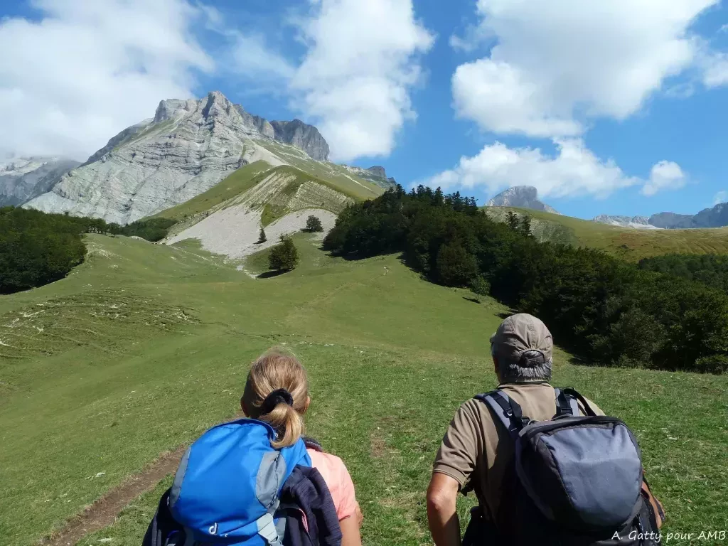 media-libraryjmq162fl0jc3fNbI4fX