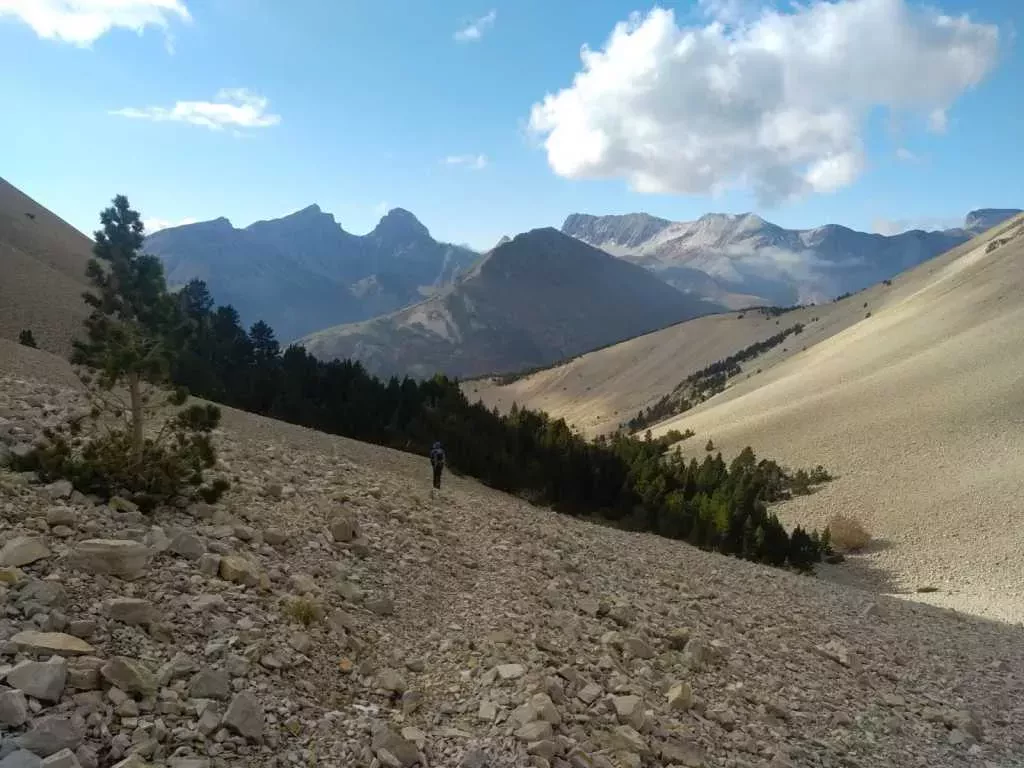 media-library388on5v2cocr5yqA0xT