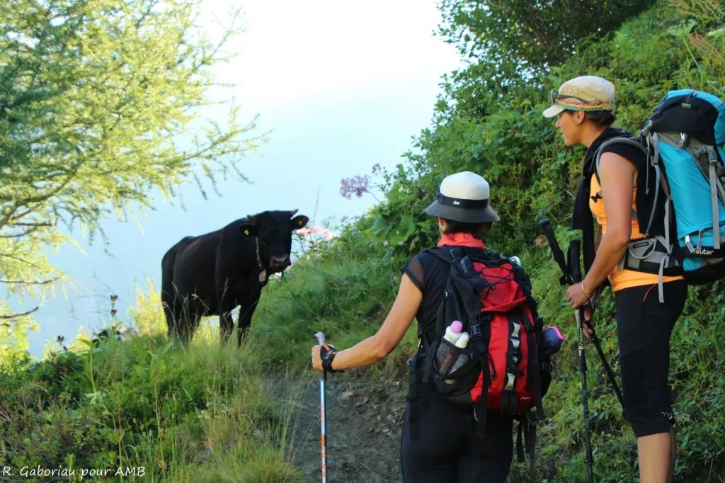 Randonnée en montagne  Tenue de randonnée, Merveilleuses femmes