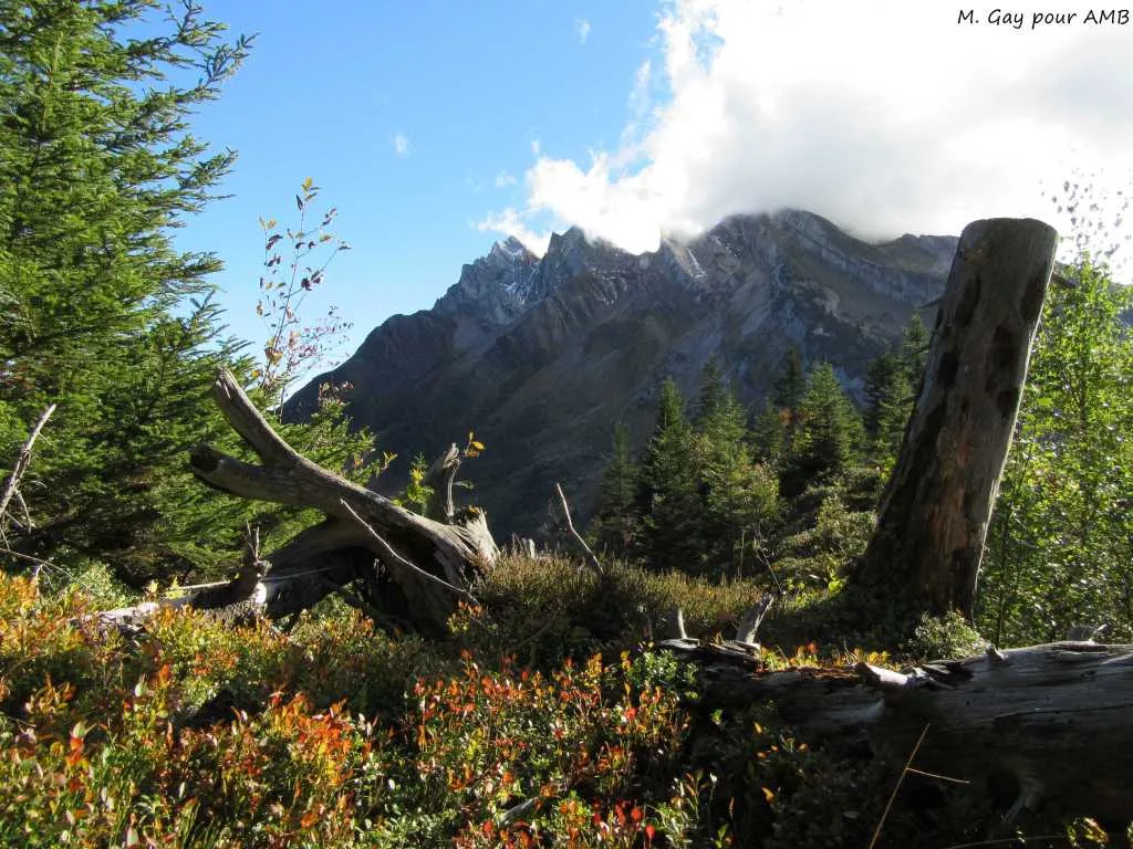 Aravis massif - land of pastures, a real getaway - Altitude MontBlanc