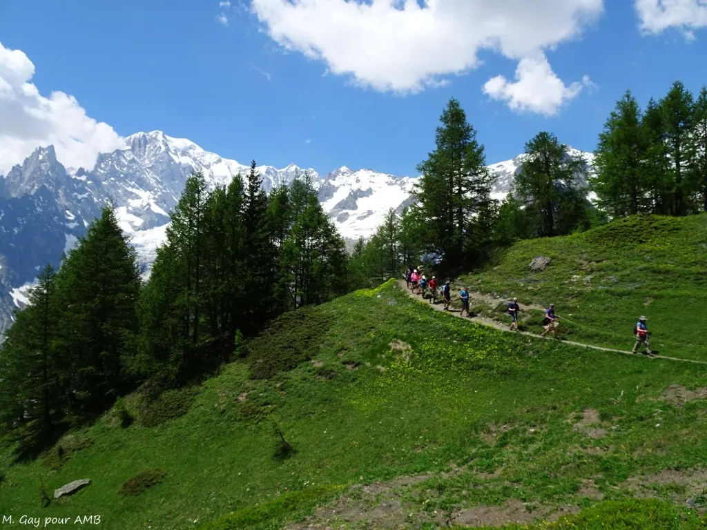 tour du mont blanc 7 jours confort